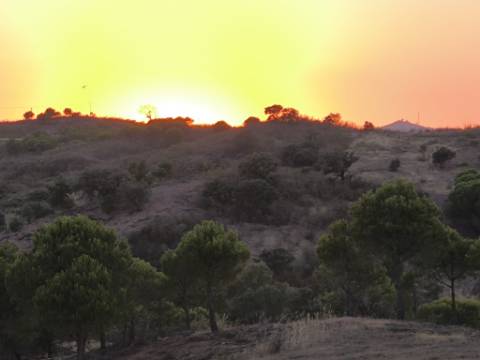 ARMAZEM - COM CASA DE BANHO - JUNTO A ALDEIA DE FORTES EM CASTRO MARIM - ALGARVE