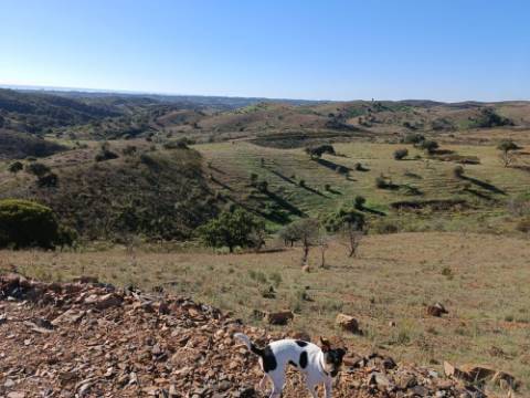 TERRENO COM 12.720 M2 - VISTA MAR - COM ARVORES - REGA - BOMBA E PAINEIS SOLARES - CAMPEIROS - CASTRO MARIM - ALGARVE