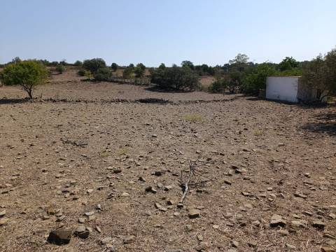 TERRENO COM 440 M2 JUNTO A ALDEIA DA CASA BRANCA EM BALURCOS - ALCOUTIM