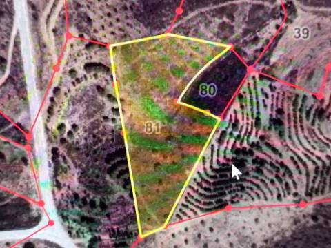 TERRENO COM 8.720 M2 - COM POÇO - PRÓXIMO A CORTE DO GAGO EM CASTRO MARIM - ALGARVE