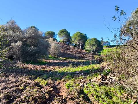 TERRENO COM 8.720 M2 - COM POÇO - PRÓXIMO A CORTE DO GAGO EM CASTRO MARIM - ALGARVE