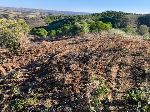 TERRENO COM 8.720 M2 - COM POÇO - PRÓXIMO A CORTE DO GAGO EM CASTRO MARIM - ALGARVE
