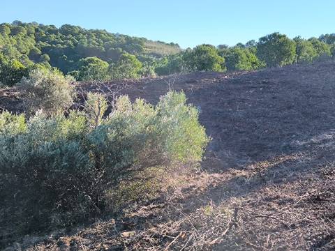 TERRENO COM 8.720 M2 - COM POÇO - PRÓXIMO A CORTE DO GAGO EM CASTRO MARIM - ALGARVE