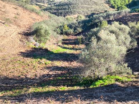 TERRENO COM 8.720 M2 - COM POÇO - PRÓXIMO A CORTE DO GAGO EM CASTRO MARIM - ALGARVE