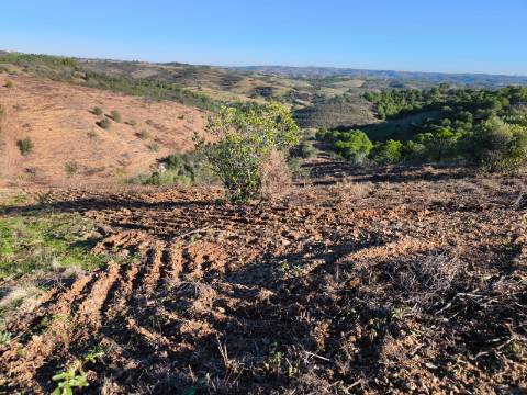 TERRENO COM 8.720 M2 - COM POÇO - PRÓXIMO A CORTE DO GAGO EM CASTRO MARIM - ALGARVE