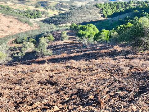 TERRENO COM 8.720 M2 - COM POÇO - PRÓXIMO A CORTE DO GAGO EM CASTRO MARIM - ALGARVE