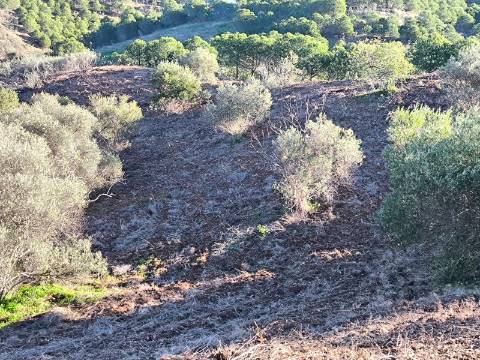 TERRENO COM 8.720 M2 - COM POÇO - PRÓXIMO A CORTE DO GAGO EM CASTRO MARIM - ALGARVE