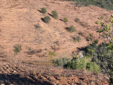 TERRENO COM 8.720 M2 - COM POÇO - PRÓXIMO A CORTE DO GAGO EM CASTRO MARIM - ALGARVE
