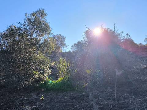 TERRENO COM 8.720 M2 - COM POÇO - PRÓXIMO A CORTE DO GAGO EM CASTRO MARIM - ALGARVE