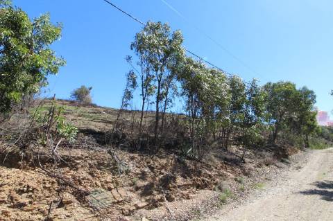 Terreno Misto com ruína zona da Conceição de Tavira,