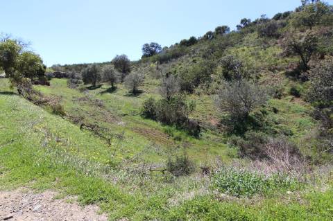 Terreno Misto com ruína zona da Conceição de Tavira,