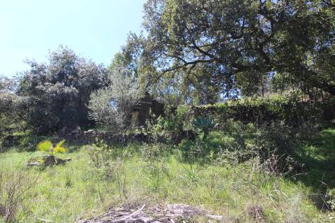 Terreno Misto com ruína zona da Conceição de Tavira,