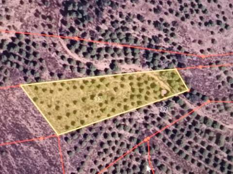 TERRENO RÚSTICO COM 5.160 M2 - PRÓXIMO A FOZ DE ODELEITE - ODELEITE - CASTRO MARIM - ALGARVE