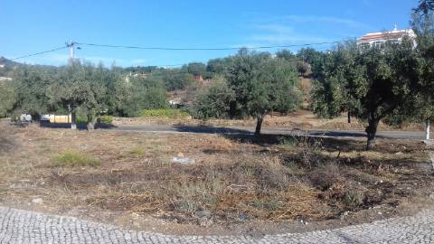 Terreno Urbano
