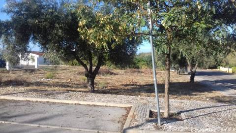 Terreno Urbano