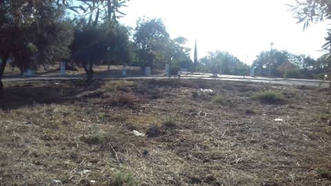 Terreno Urbano