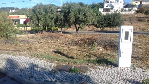 Terreno Urbano