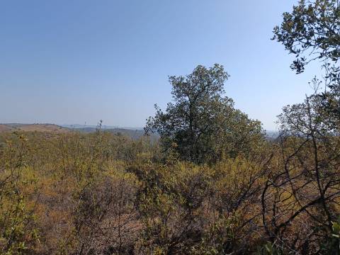 TERRENO RUSTICO COM 7.240 M2 - PRÓXIMO A ALDEIA DOS BALURCOS EM ALCOUTIM - ALGARVE