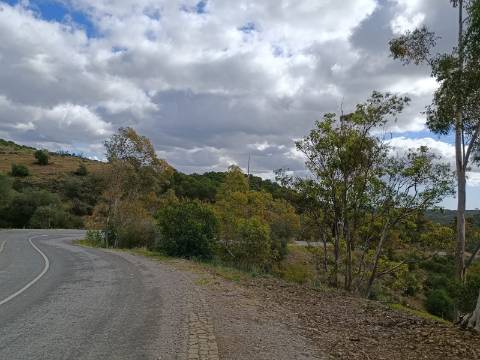 TERRENO COM 15.6 HECTARES - POSSIBILIDADE DE CONSTRUÇÃO - HABITAÇÃO - TURISMO - AZINHAL - CASTRO MARIM - ALGARVE