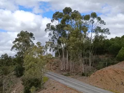 TERRENO COM 15.6 HECTARES - POSSIBILIDADE DE CONSTRUÇÃO - HABITAÇÃO - TURISMO - AZINHAL - CASTRO MARIM - ALGARVE