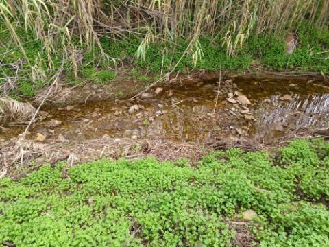 TERRENO RUSTICO COM 2.320 M2 - PLANO - ÁGUA - ELETRICIDADE - PISA BARRO - CASTRO MARIM - ALGARVE