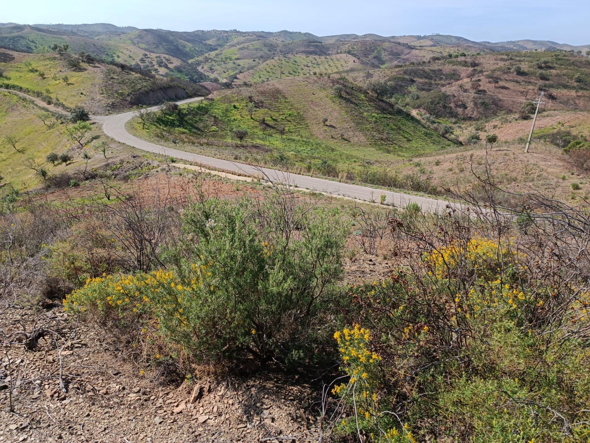 TERRENO RÚSTICO COM 3920 M2 - FONTE CHICÓ EM CASTRO MARIM - ALGARVE
