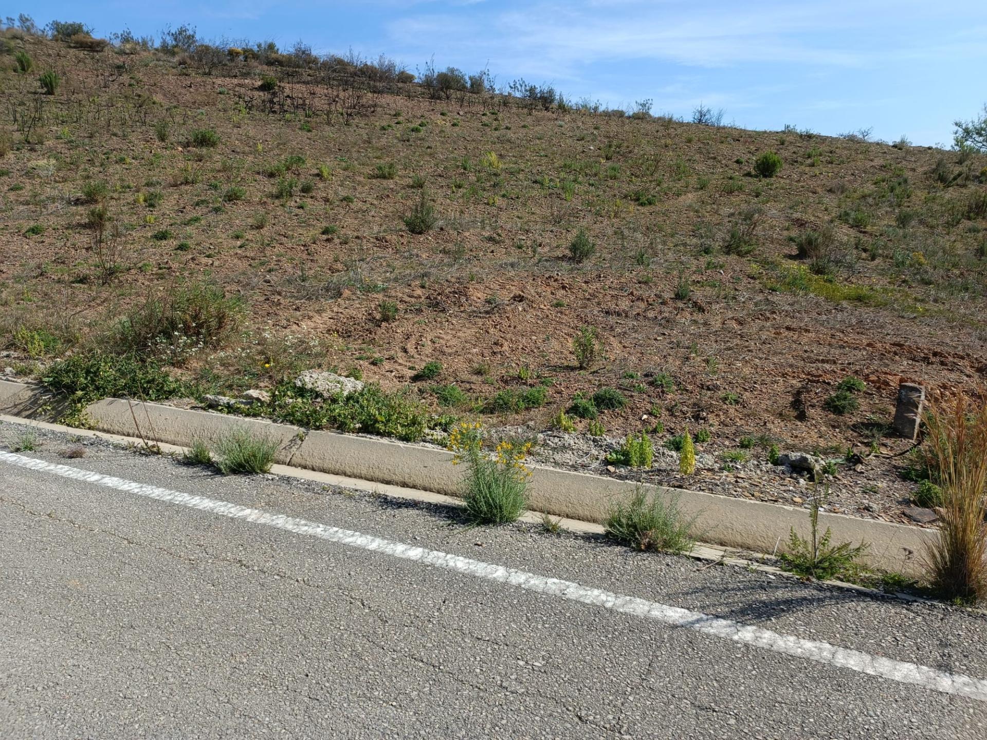 TERRENO RÚSTICO COM 3920 M2 - FONTE CHICÓ EM CASTRO MARIM - ALGARVE