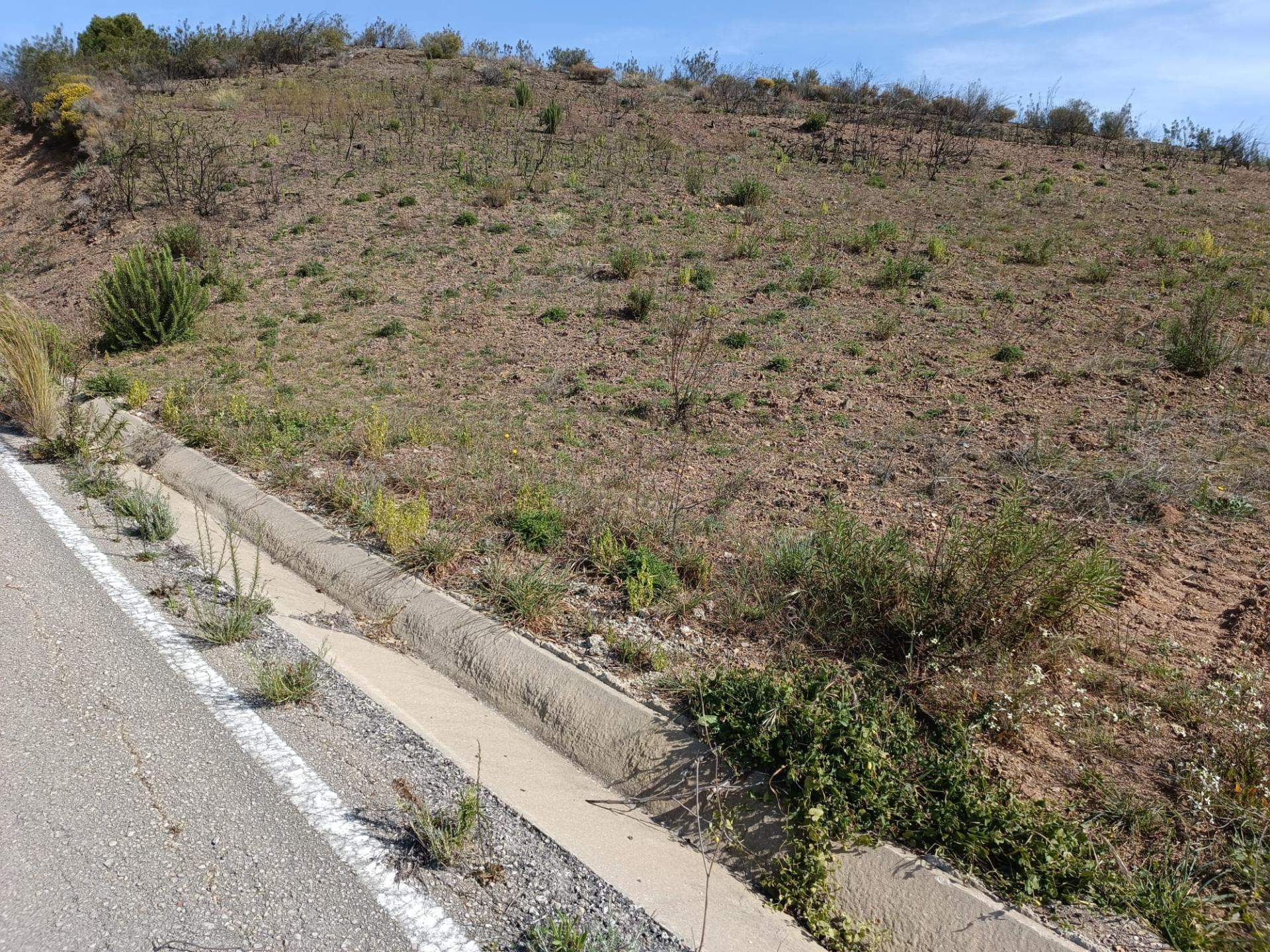 TERRENO RÚSTICO COM 3920 M2 - FONTE CHICÓ EM CASTRO MARIM - ALGARVE