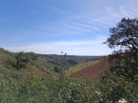 TERRENO RUSTICO COM 8.280 M2 - PRÓXIMO DO MAGOITO EM ODELEITE - CASTRO MARIM - ALGARVE