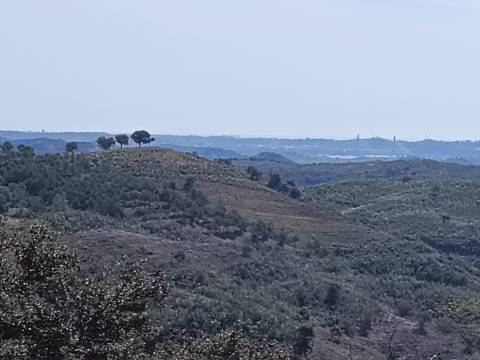 TERRENO RUSTICO COM 8.280 M2 - PRÓXIMO DO MAGOITO EM ODELEITE - CASTRO MARIM - ALGARVE