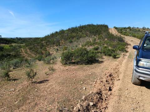 TERRENO RUSTICO COM 8.280 M2 - PRÓXIMO DO MAGOITO EM ODELEITE - CASTRO MARIM - ALGARVE