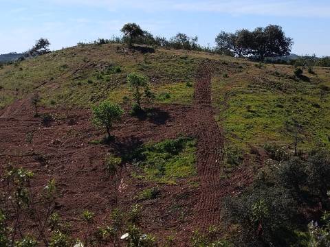 TERRENO RUSTICO COM 8.280 M2 - PRÓXIMO DO MAGOITO EM ODELEITE - CASTRO MARIM - ALGARVE