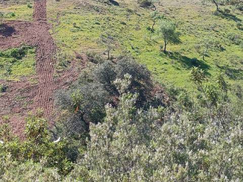 TERRENO RUSTICO COM 8.280 M2 - PRÓXIMO DO MAGOITO EM ODELEITE - CASTRO MARIM - ALGARVE