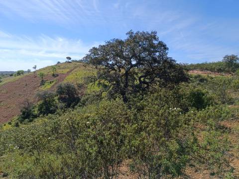 TERRENO RUSTICO COM 8.280 M2 - PRÓXIMO DO MAGOITO EM ODELEITE - CASTRO MARIM - ALGARVE