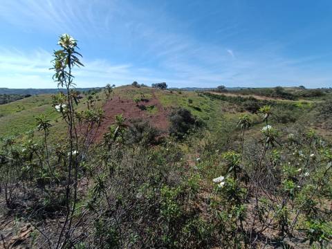 TERRENO RUSTICO COM 8.280 M2 - PRÓXIMO DO MAGOITO EM ODELEITE - CASTRO MARIM - ALGARVE
