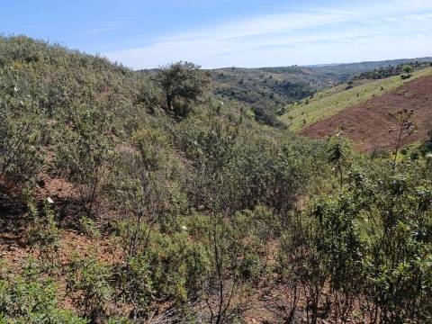 TERRENO RUSTICO COM 8.280 M2 - PRÓXIMO DO MAGOITO EM ODELEITE - CASTRO MARIM - ALGARVE