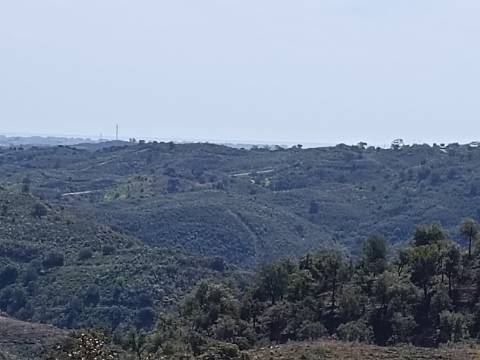 TERRENO RUSTICO COM 8.280 M2 - PRÓXIMO DO MAGOITO EM ODELEITE - CASTRO MARIM - ALGARVE