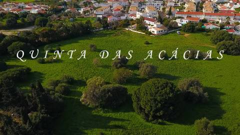Quinta junto a núcleo urbano, com a possibilidade de construção de 7 moradias com piscina