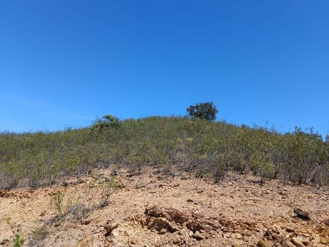 TERRENO COM 10.160 M2 - PRÓXIMO A CORTE DO GAGO - CASTRO MARIM - ALGARVE