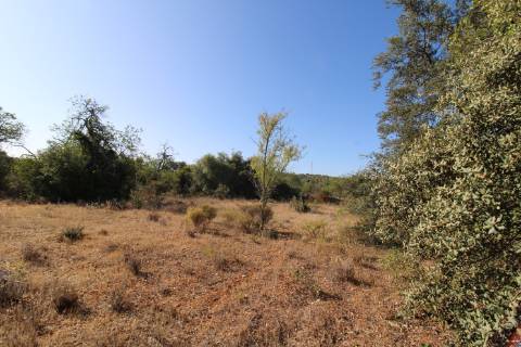 Terreno Rústico com 6840 m2