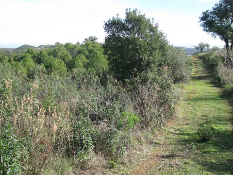 TERRENO RÚSTICO COM 10.480 M2 JUNTO A BARRAGEM DO BELICHE - ALCARIAS - AZINHAL - ALGARVE