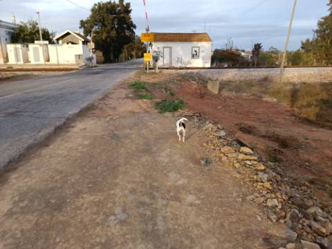 TERRENO RUSTICO COM 9.400 M2 JUNTO A ESTAÇÃO DE COMBOIO DE CASTRO MARIM - ALGARVE