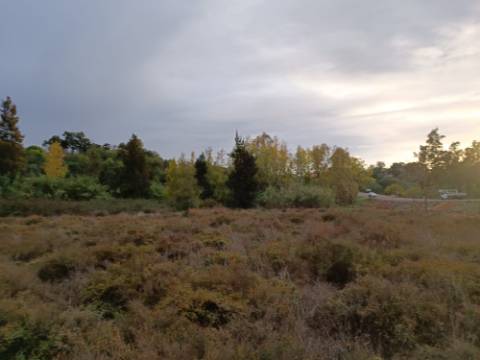 TERRENO RUSTICO COM 9.400 M2 JUNTO A ESTAÇÃO DE COMBOIO DE CASTRO MARIM - ALGARVE