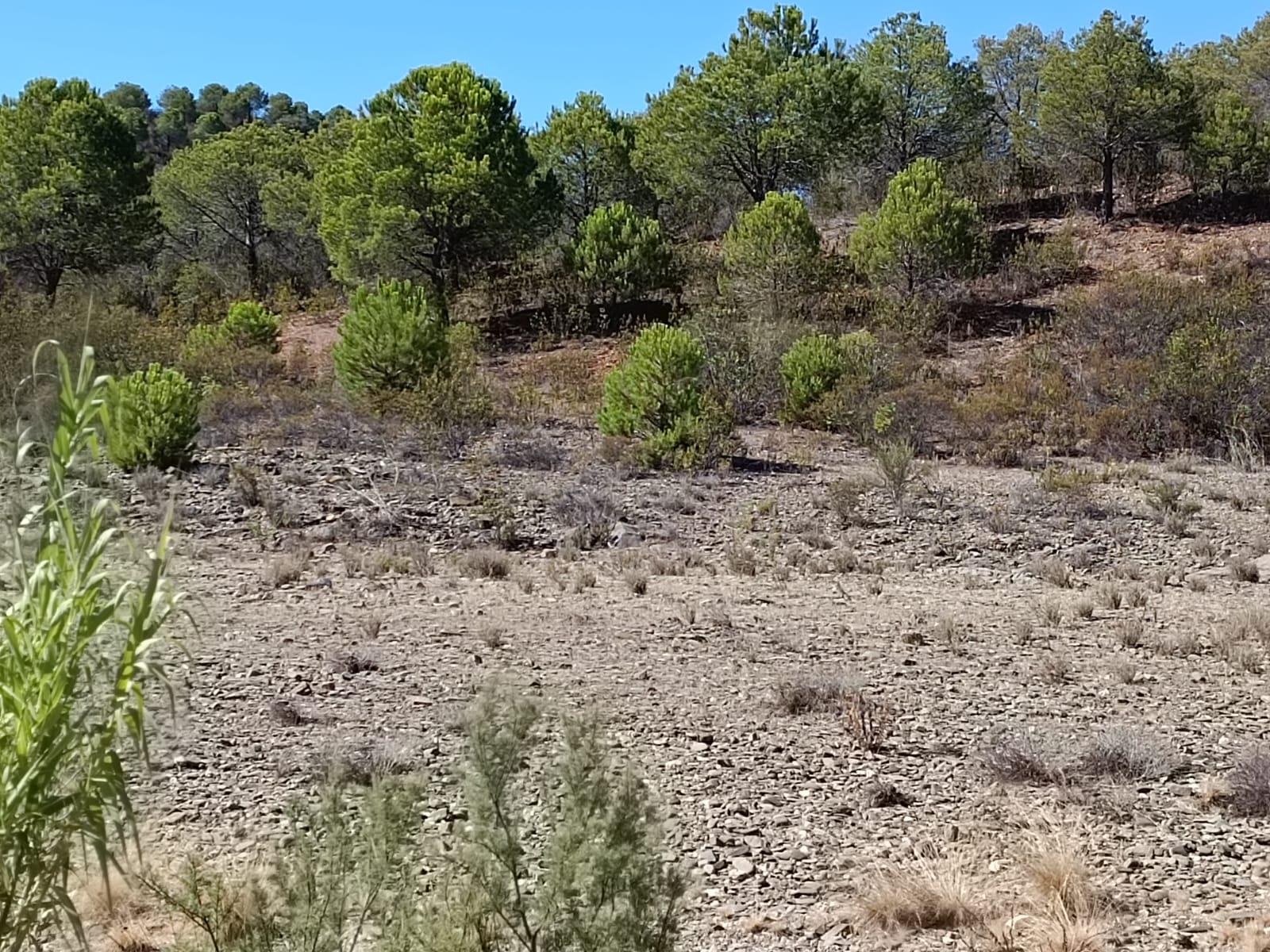 TERRENO COM 83.240 M2 - JUNTO A RIBEIRA DE ODELEITE - POSSIBILIDADE DE CONSTRUÇÃO HABITAÇÃO E TURISMO EM GALAXES - VAQUEIROS - ALCOUTIM