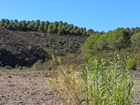 TERRENO COM 83.240 M2 - JUNTO A RIBEIRA DE ODELEITE - POSSIBILIDADE DE CONSTRUÇÃO HABITAÇÃO E TURISMO EM GALAXES - VAQUEIROS - ALCOUTIM