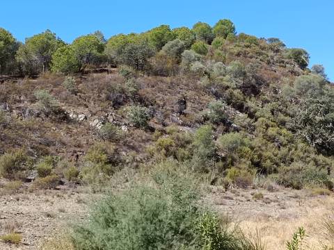 TERRENO COM 83.240 M2 - JUNTO A RIBEIRA DE ODELEITE - POSSIBILIDADE DE CONSTRUÇÃO HABITAÇÃO E TURISMO EM GALAXES - VAQUEIROS - ALCOUTIM