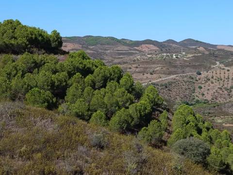TERRENO COM 83.240 M2 - JUNTO A RIBEIRA DE ODELEITE - POSSIBILIDADE DE CONSTRUÇÃO HABITAÇÃO E TURISMO EM GALAXES - VAQUEIROS - ALCOUTIM