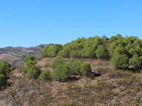 TERRENO COM 83.240 M2 - JUNTO A RIBEIRA DE ODELEITE - POSSIBILIDADE DE CONSTRUÇÃO HABITAÇÃO E TURISMO EM GALAXES - VAQUEIROS - ALCOUTIM