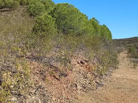 TERRENO COM 83.240 M2 - JUNTO A RIBEIRA DE ODELEITE - POSSIBILIDADE DE CONSTRUÇÃO HABITAÇÃO E TURISMO EM GALAXES - VAQUEIROS - ALCOUTIM