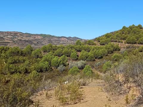 TERRENO COM 83.240 M2 - JUNTO A RIBEIRA DE ODELEITE - POSSIBILIDADE DE CONSTRUÇÃO HABITAÇÃO E TURISMO EM GALAXES - VAQUEIROS - ALCOUTIM